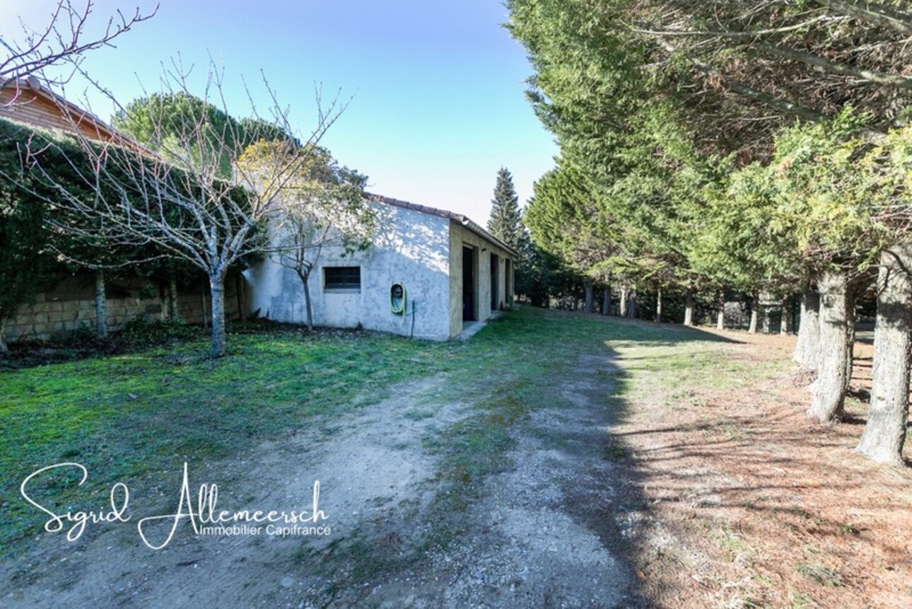 Photos 12 - Prestigious - AUDE, 10 min Carcassonne, near a village in the AUDE, in a residential area, come and discover this