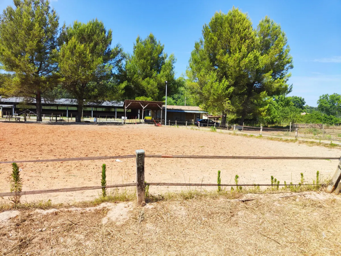 Photos 2 - Équestre - VAR - REGION DE  SAINT MAXIMIN  PROPRIETE EQUESTRE - MAISON INDEPENDANTE - MANEGE - CARRIERE