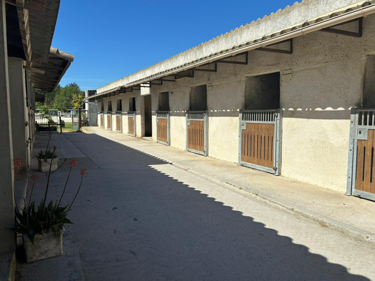 Photos 9 - Equestrian - Equestrian estate on more than 6 hectares, close to all amenities