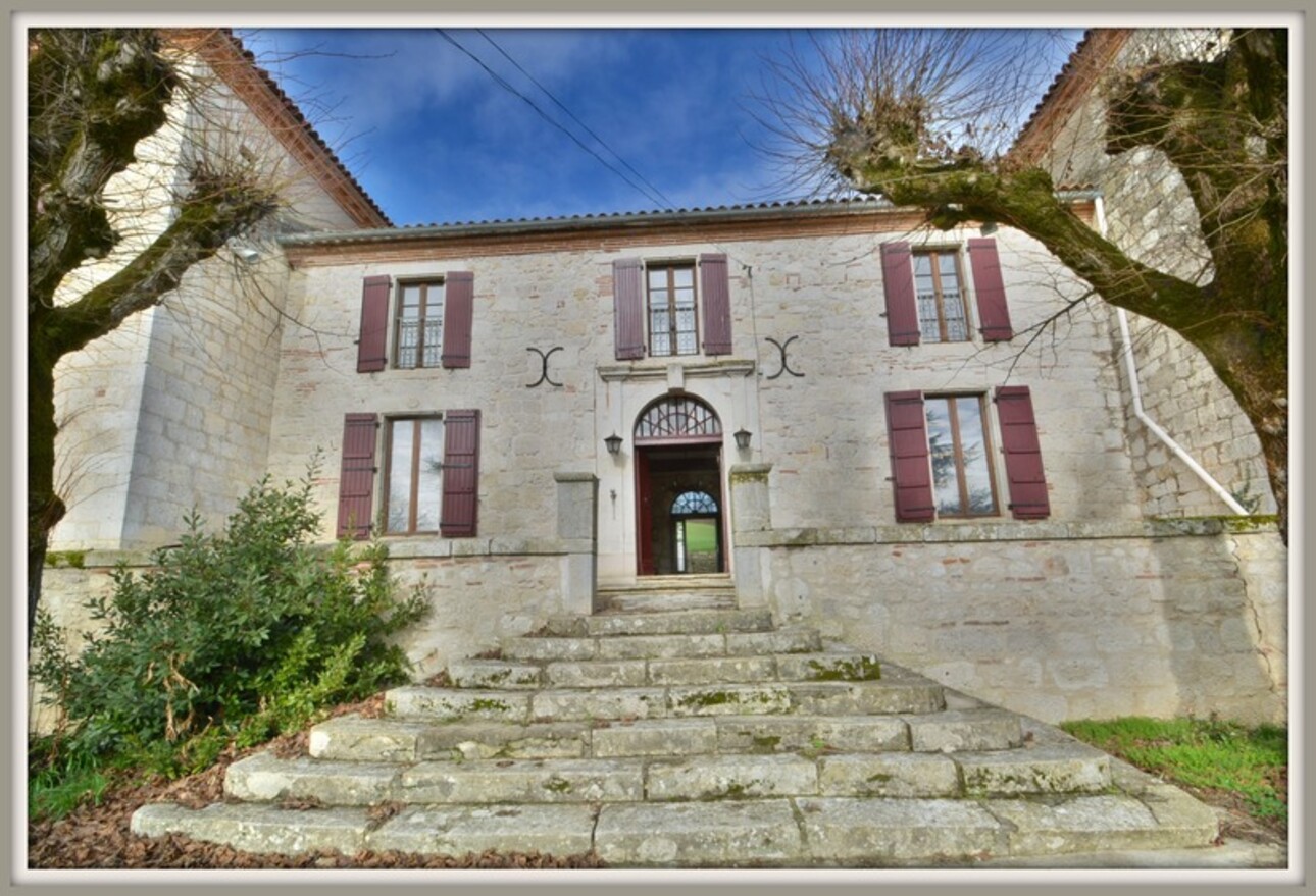 Photos 2 - Prestigious - Dpt Lot et Garonne (47), for sale near AGEN P8 property of 385 m² plus outbuildings of 400 M2 - Land