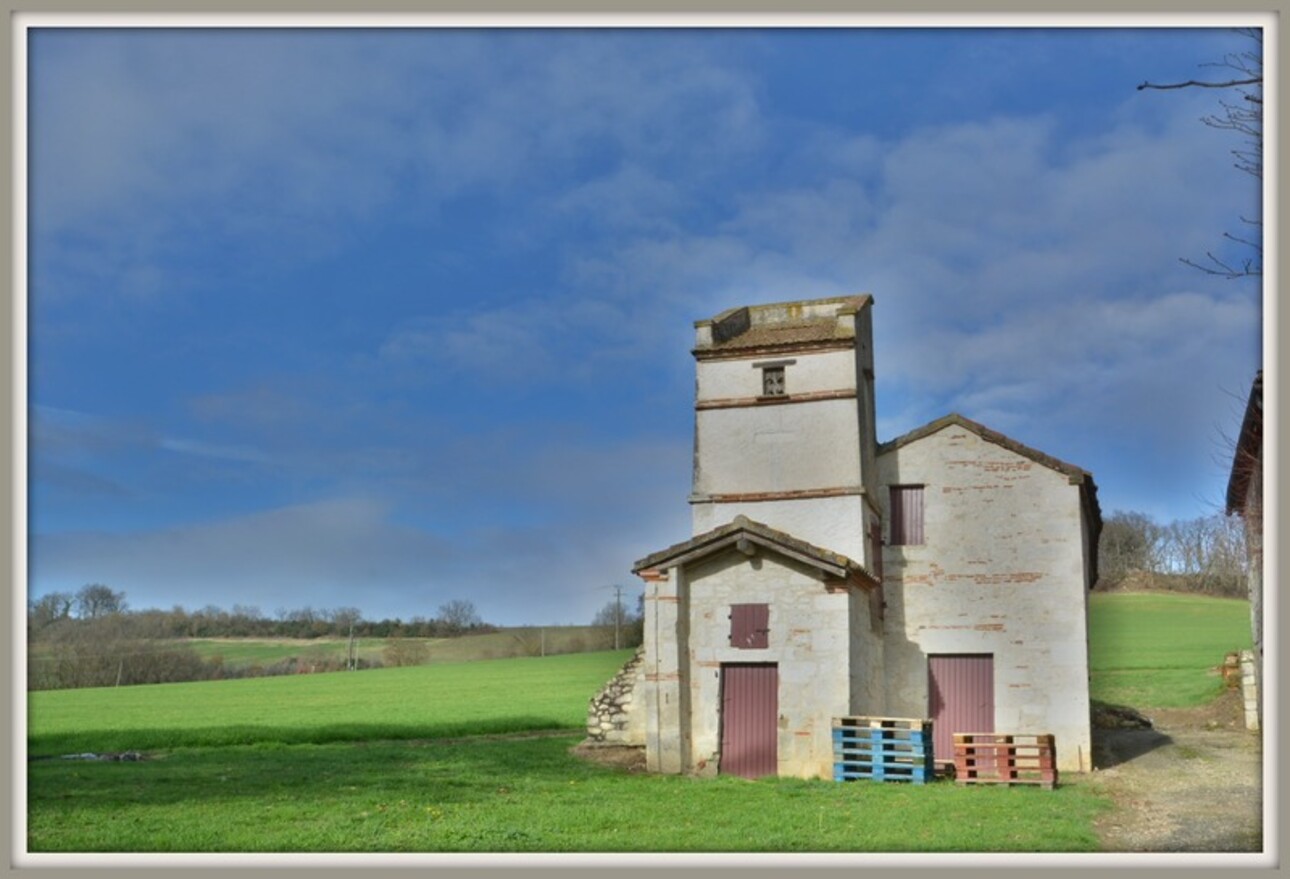 Photos 16 - Prestigious - Dpt Lot et Garonne (47), for sale near AGEN P8 property of 385 m² plus outbuildings of 400 M2 - Land