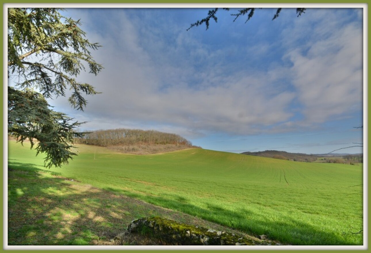 Photos 19 - Prestigious - Dpt Lot et Garonne (47), for sale near AGEN P8 property of 385 m² plus outbuildings of 400 M2 - Land