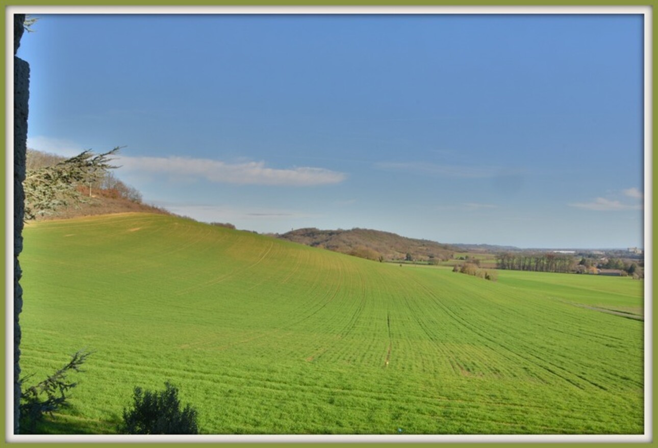 Photos 20 - Prestige - Dpt Lot et Garonne (47), à vendre proche d' AGEN Propriété P8 de 385 m² plus dépendances de 400 M2- Terrain de 25 HA