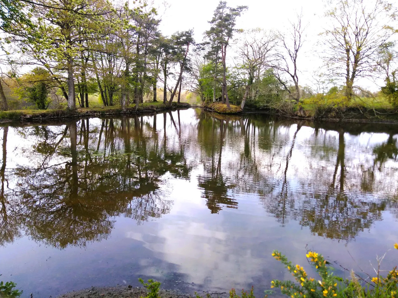 Photos 6 - Equestrian - MANCHE – PROPRIETE AGRICOLE DE 45 HECTARES AVEC MANOIR.