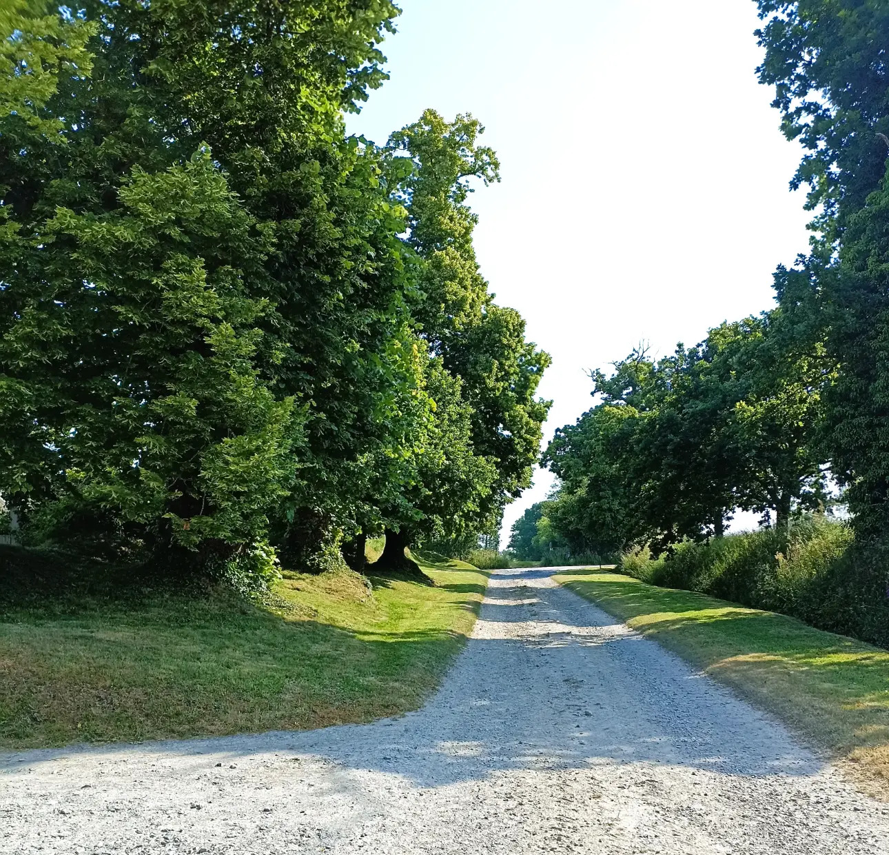 Photos 8 - Equestrian - MANCHE – PROPRIETE AGRICOLE DE 45 HECTARES AVEC MANOIR.