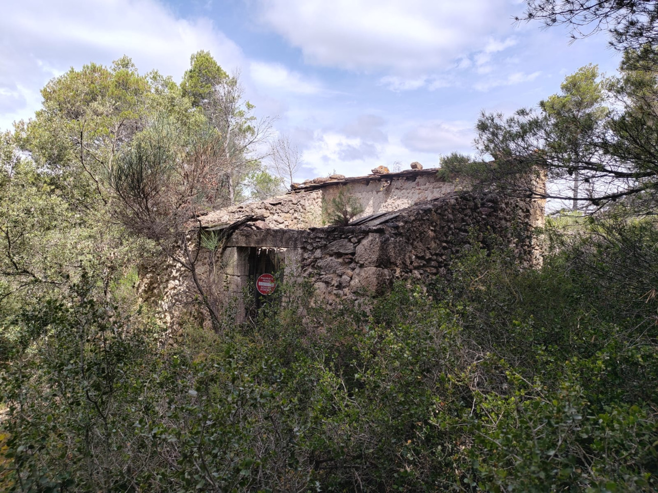 Photos 3 - Forest - Propriété de 13,8 hectares à vendre dans l’Aude