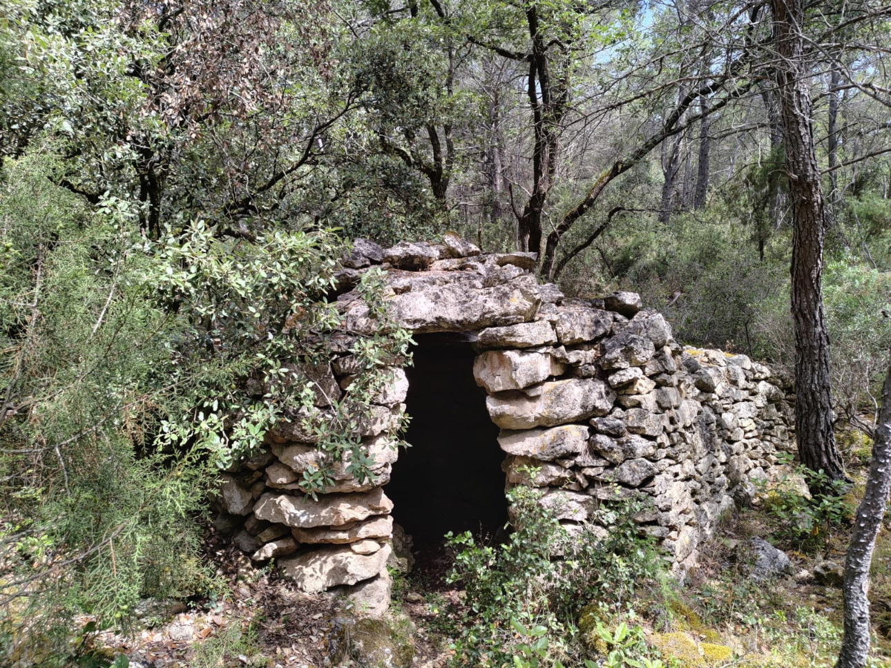 Photos 4 - Forest - Propriété de 13,8 hectares à vendre dans l’Aude