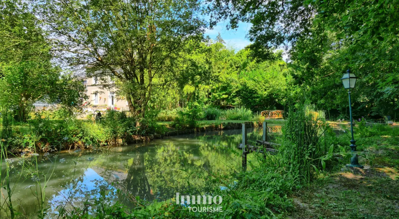 Photos 2 - Tourist - Property with gîte and guest rooms at the gates of Beauval Zoo