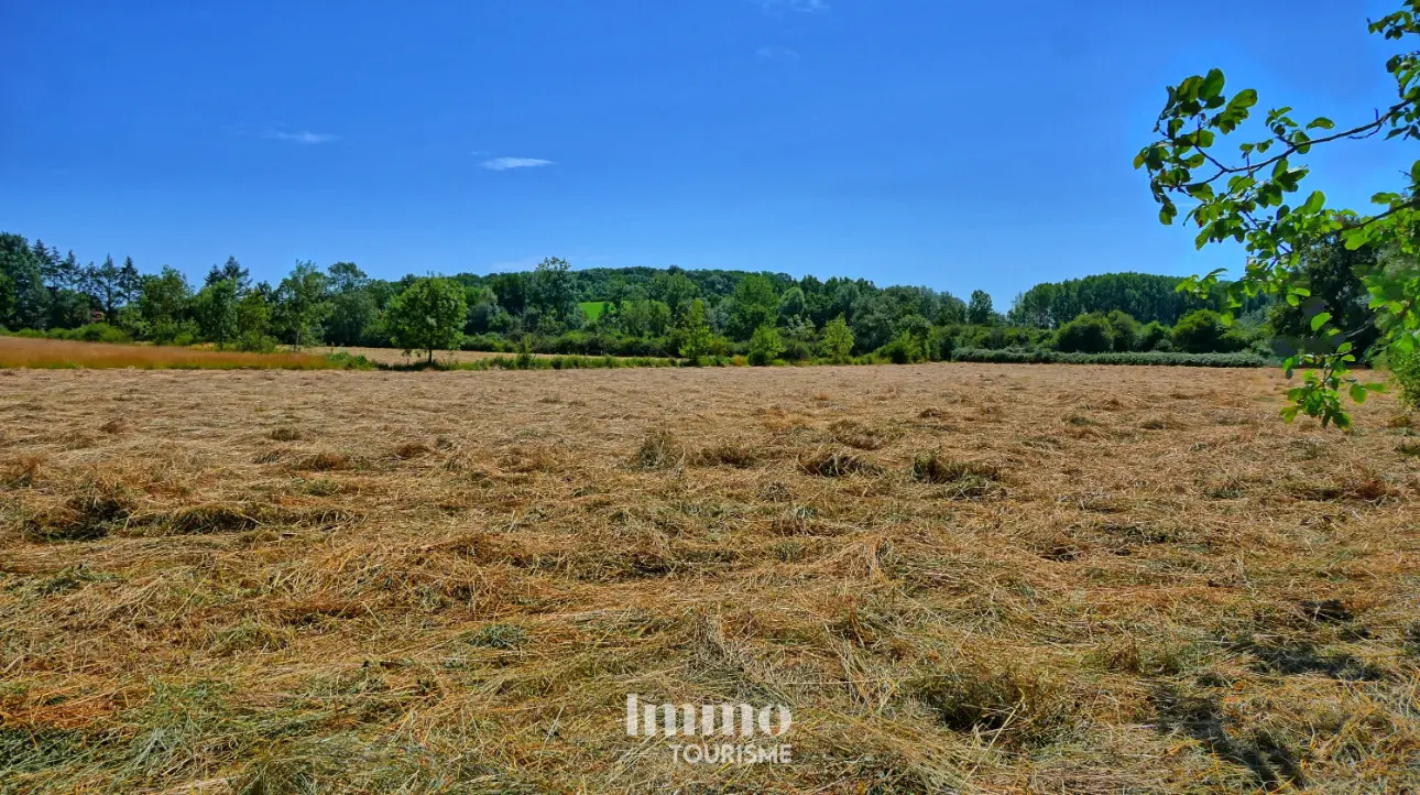 Photos 13 - Touristique - Propriété avec gîte et chambres d’hôtes aux portes du Zoo de Beauval