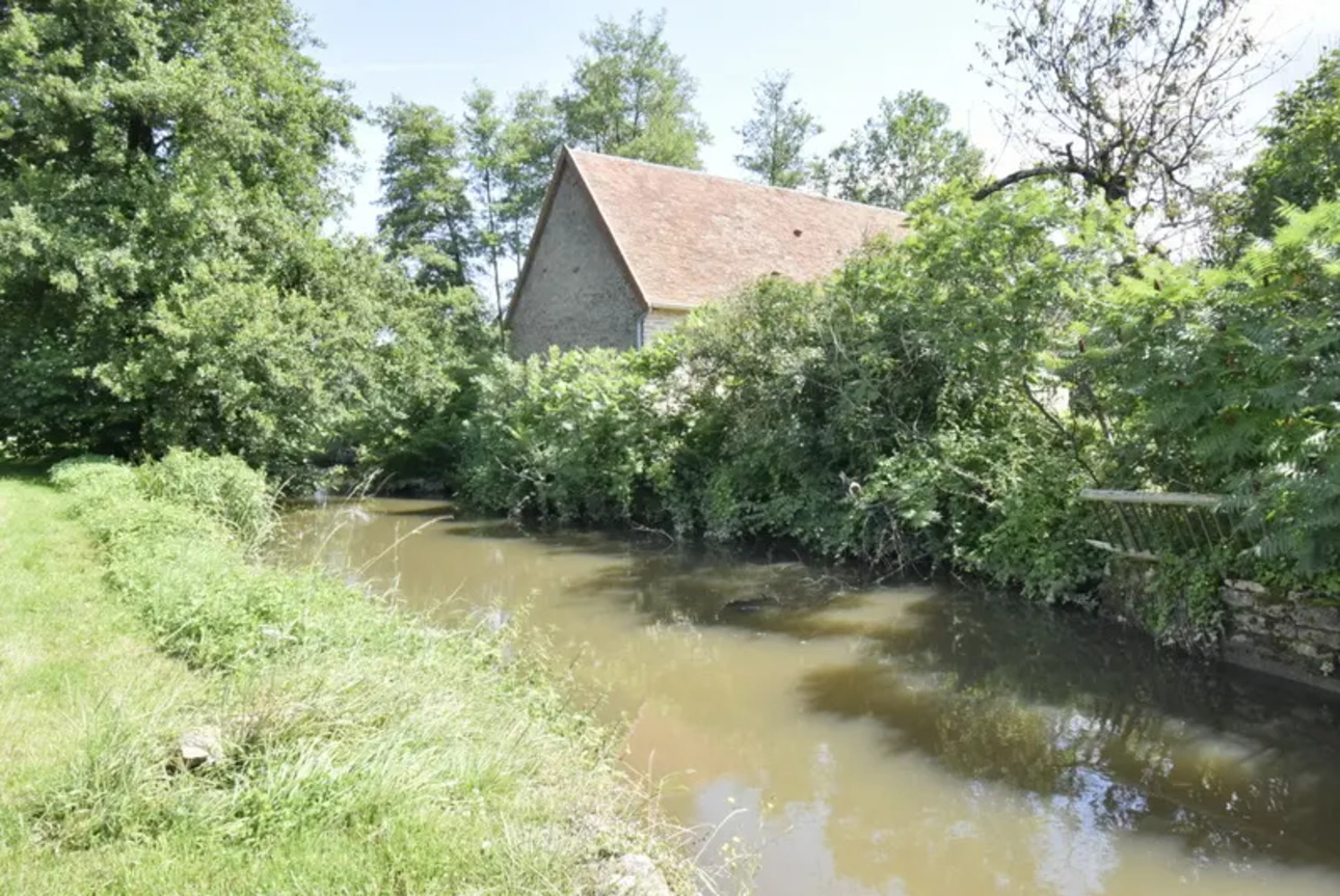 Photos 6 - Prestigious - Cluny 15 min. OLD RESTORED MILL ON 2.5 HECTARES