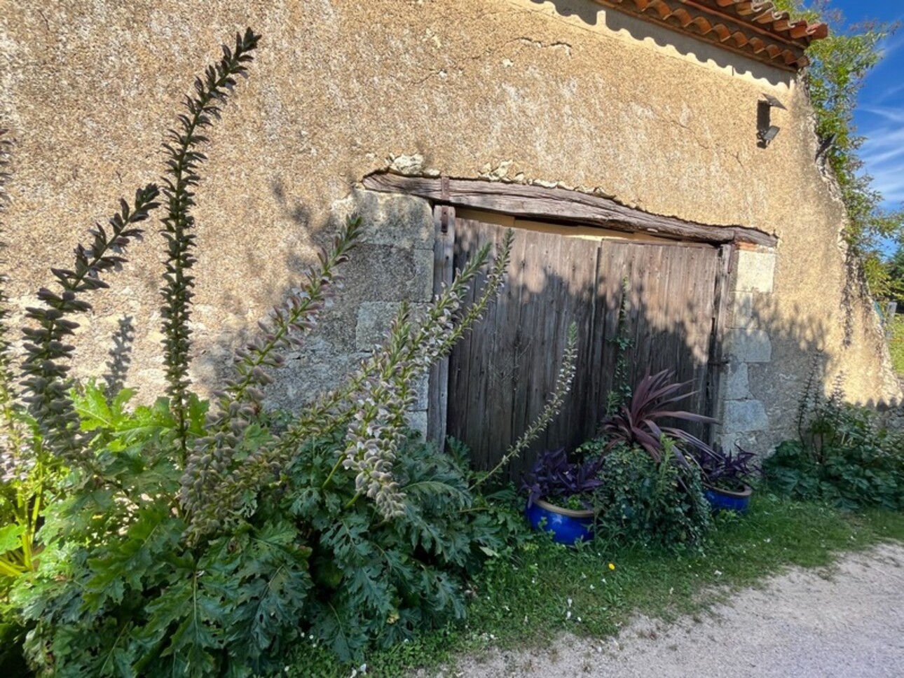 Photos 11 - Équestre - Dpt Gers (32), à vendre VIC FEZENSAC proche: ELEGANTE PROPRIETE GASCONNE sans travaux piscine 5HA,- gîtes- chambres d'hôtes - évènementiels