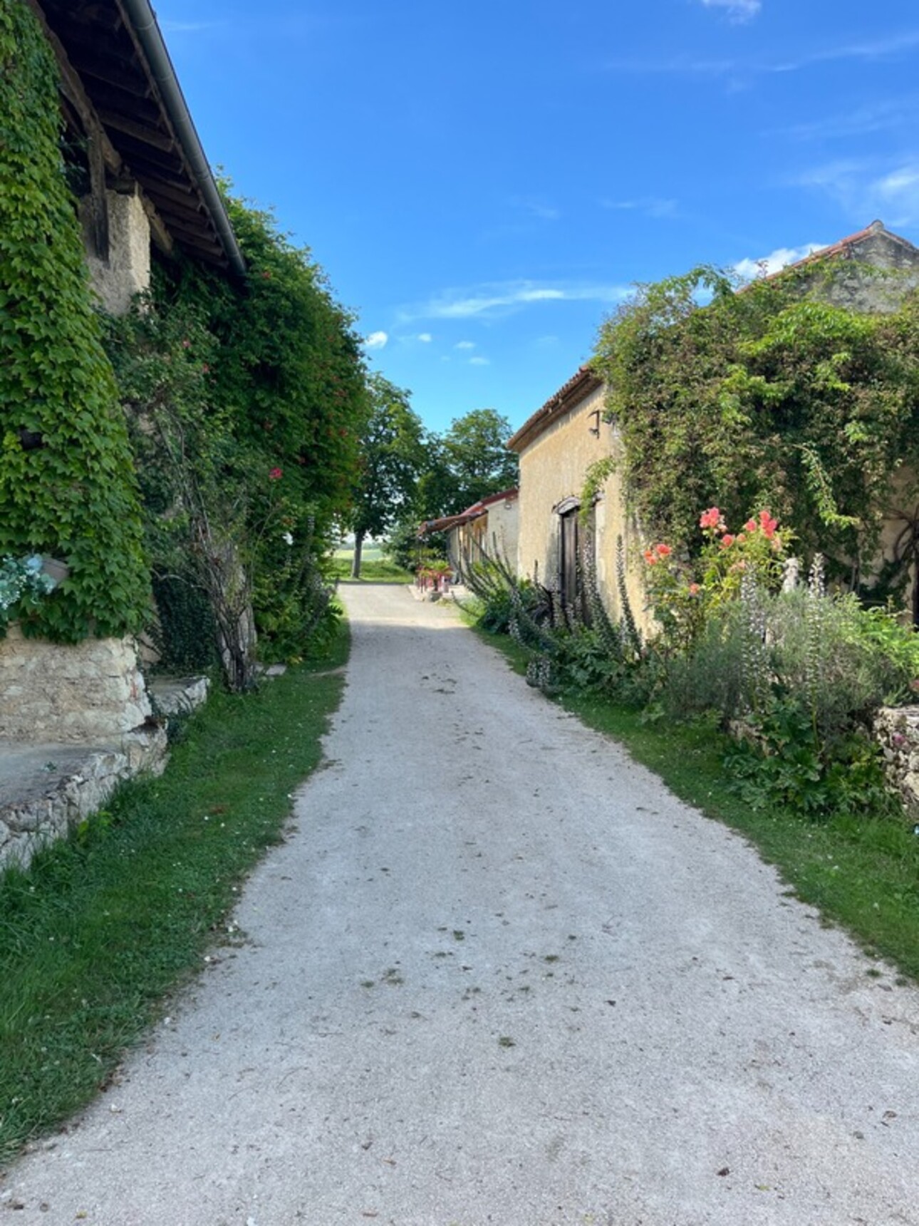 Photos 32 - Équestre - Dpt Gers (32), à vendre VIC FEZENSAC proche: ELEGANTE PROPRIETE GASCONNE sans travaux piscine 5HA,- gîtes- chambres d'hôtes - évènementiels