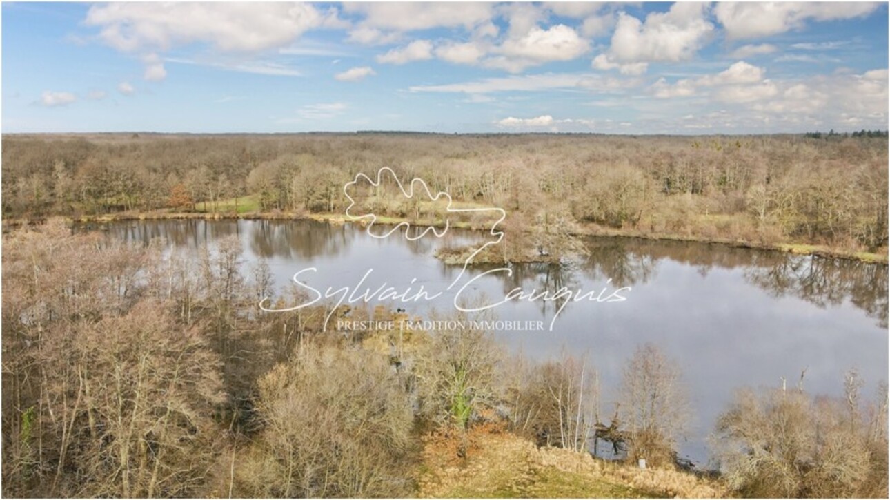 Photos 1 - Forestière - Propriété de chasse ou d'agrément de 191 hectares - Etangs - Maison principale - Rendez vous de chasse - Maison de gardiens