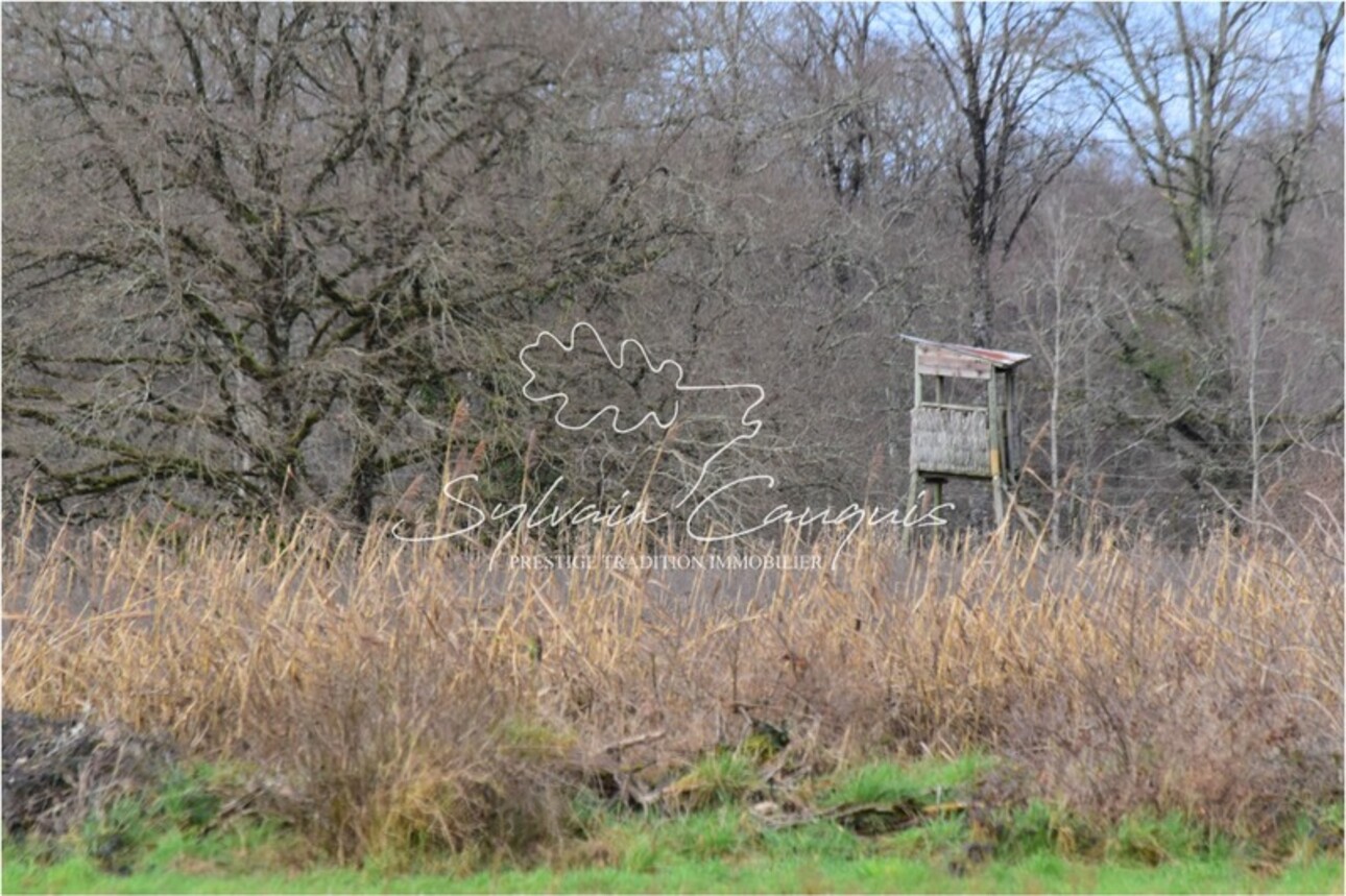 Photos 3 - Forestière - Propriété de chasse ou d'agrément de 191 hectares - Etangs - Maison principale - Rendez vous de chasse - Maison de gardiens