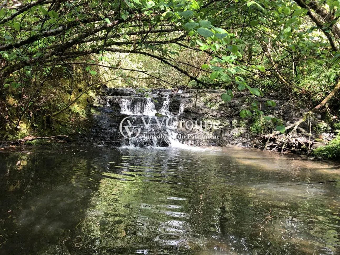 Photos 6 - Prestige - Château du 19ème siècle de 750 m2 à restaurer sur  7,8 hect, rivière secteur Béarn