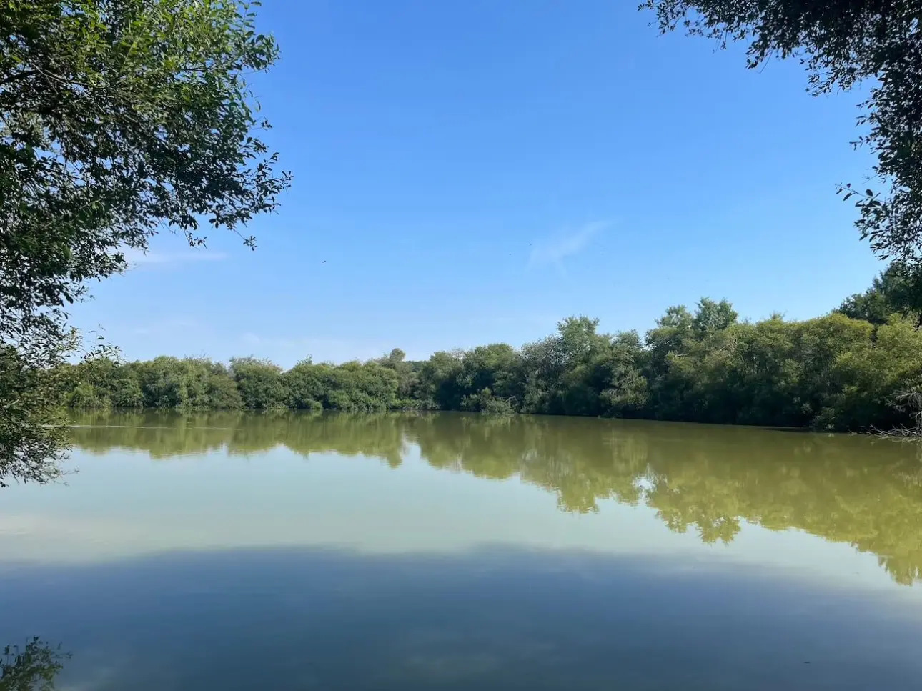 Photos 4 - Forestière - Propriété agricole et forestière en Sologne