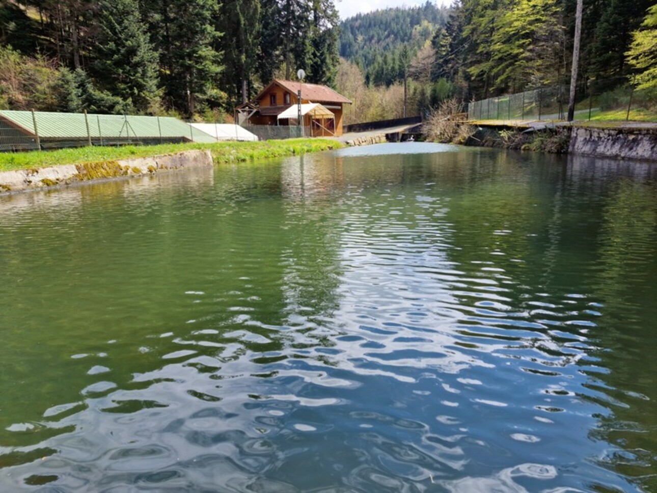 Photos 2 - Tourist - Dpt Bas-Rhin (67), for sale near SAALES property P5 with CHALET T5 + PARTY HALL + POND / land of 1 h