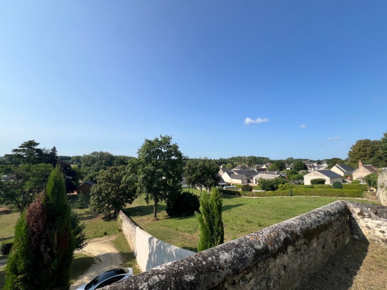 Photos 2 - Prestigious - Sublime château édifié au XVI°et remanié au XIX° surblomblant la vallée de la Loire entre Amboise et Tours