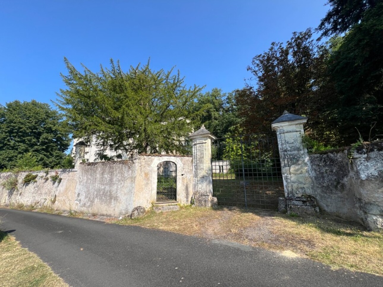 Photos 3 - Prestige - Sublime château édifié au XVI°et remanié au XIX° surblomblant la vallée de la Loire entre Amboise et Tours