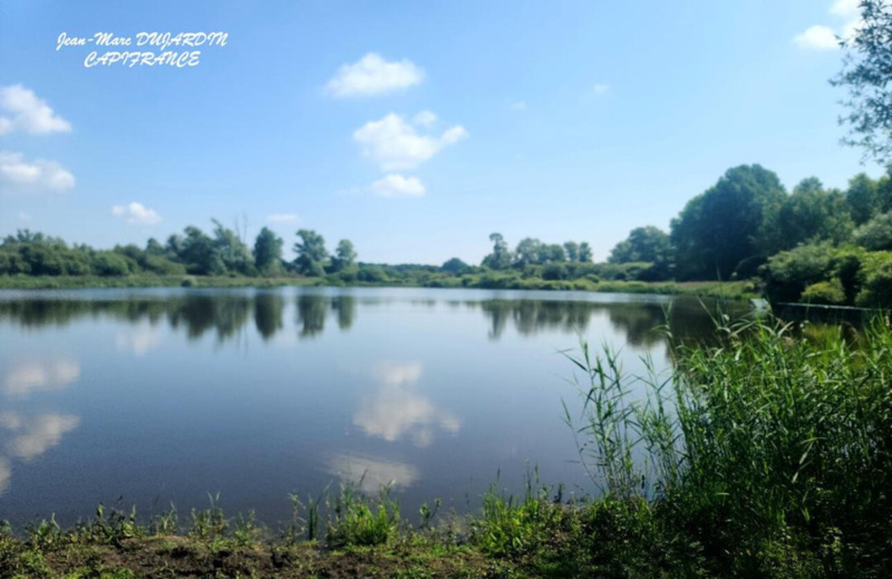 Photos 2 - Land - MARCHIENNES (59870) - TERRAIN DE LOISIRS  -CHASSE - PECHE - LOISIRS EN FAMILLE