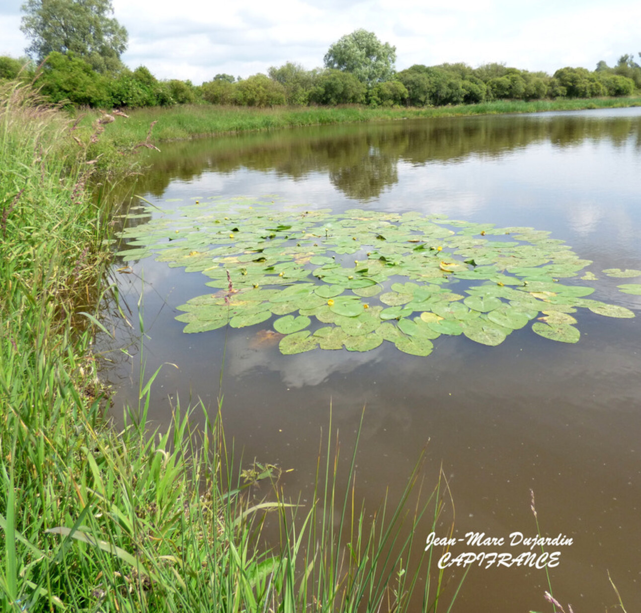 Photos 4 - Land - MARCHIENNES (59870) - TERRAIN DE LOISIRS  -CHASSE - PECHE - LOISIRS EN FAMILLE