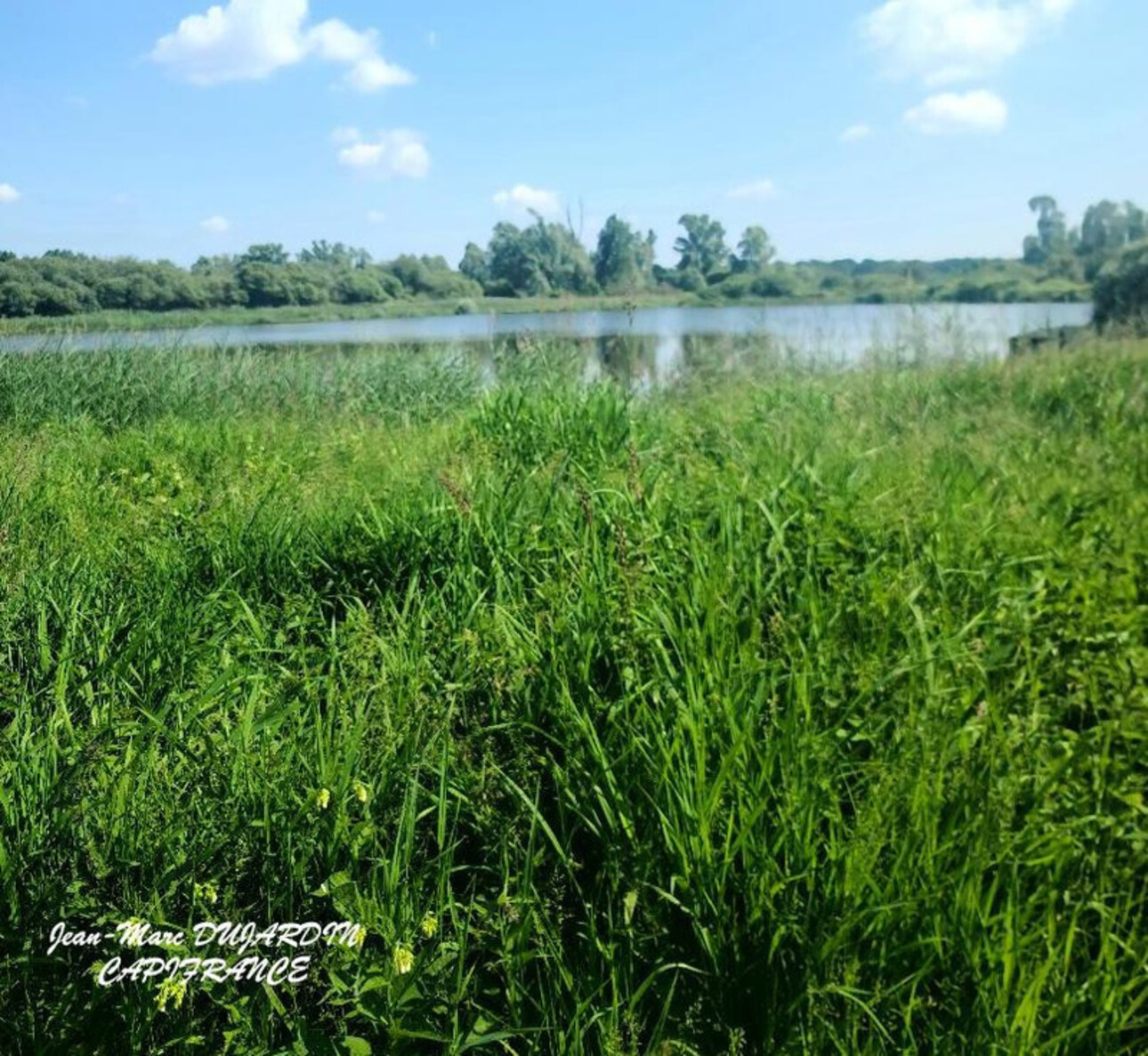 Photos 9 - Land - MARCHIENNES (59870) - TERRAIN DE LOISIRS  -CHASSE - PECHE - LOISIRS EN FAMILLE