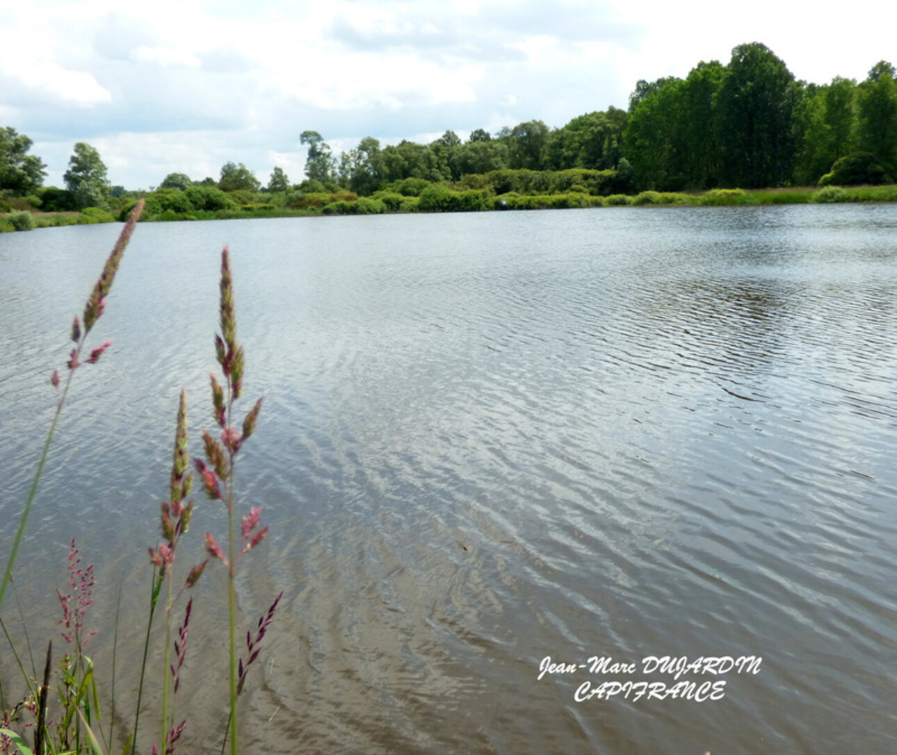 Photos 11 - Land - MARCHIENNES (59870) - TERRAIN DE LOISIRS  -CHASSE - PECHE - LOISIRS EN FAMILLE