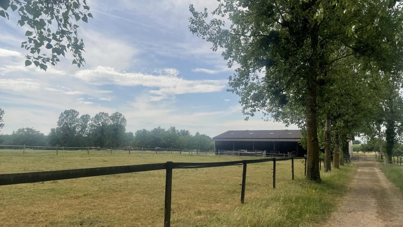 Photos 2 - Equestrian - Haras d'exception 47ha d'un seul tenant