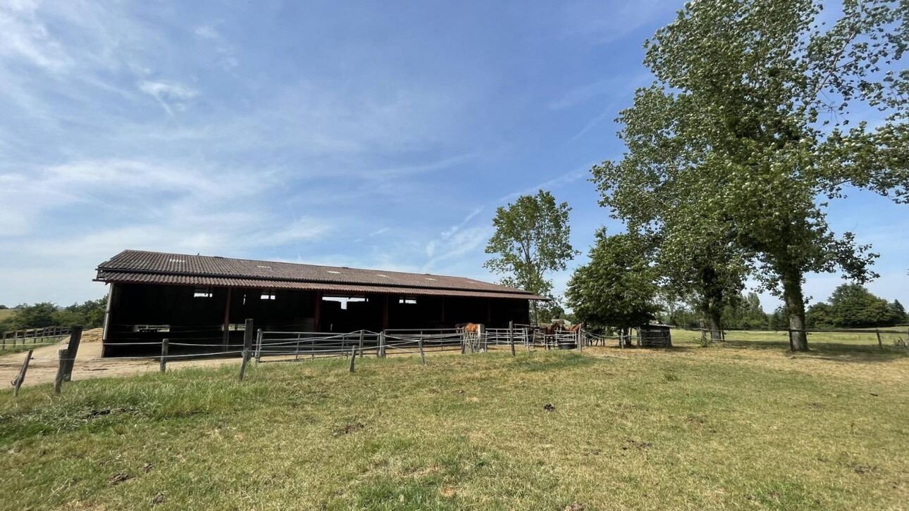 Photos 3 - Equestrian - Haras d'exception 47ha d'un seul tenant