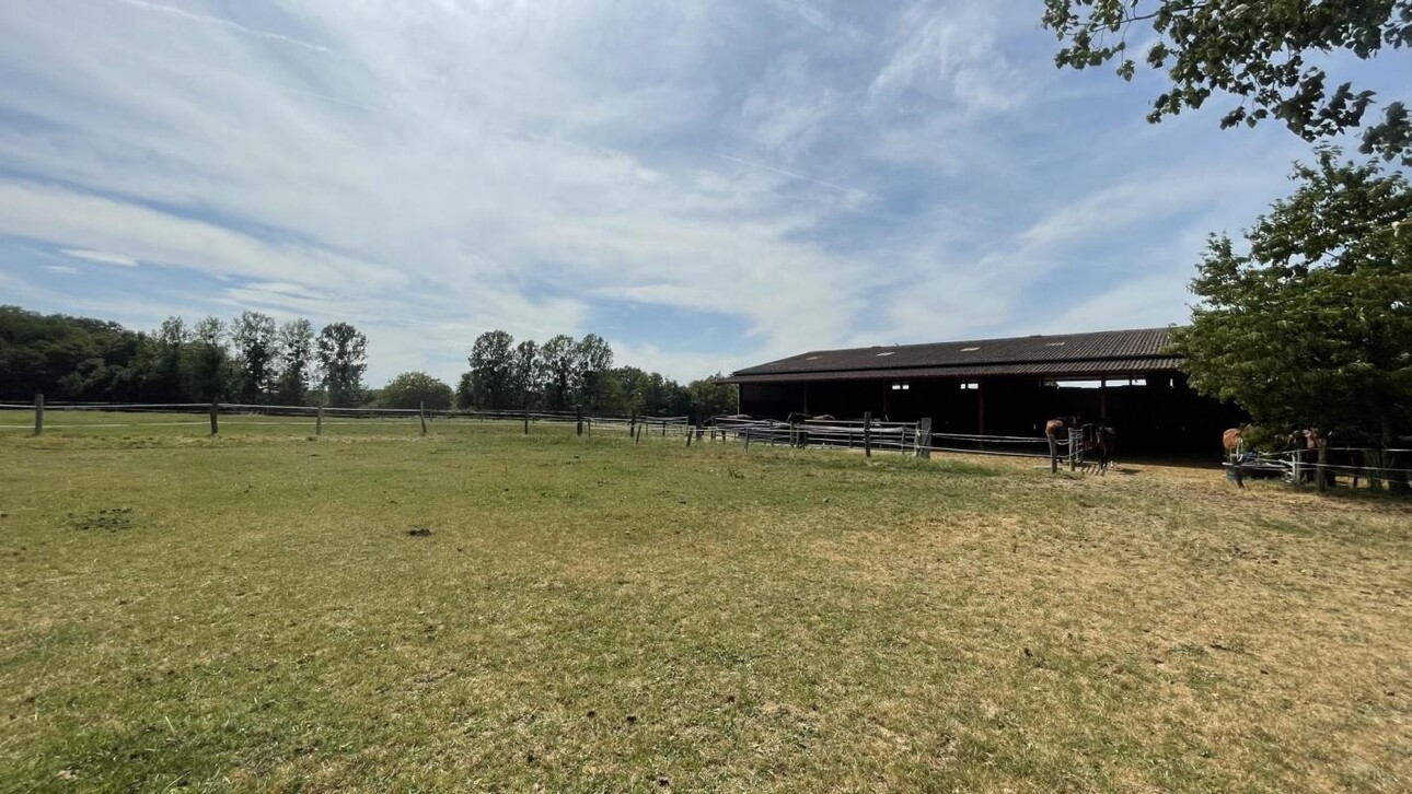 Photos 4 - Equestrian - Haras d'exception 47ha d'un seul tenant