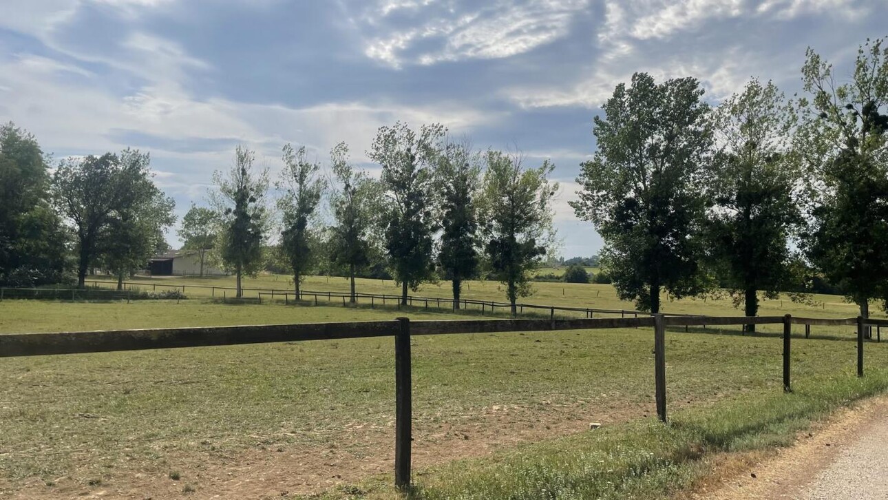 Photos 7 - Equestrian - Haras d'exception 47ha d'un seul tenant