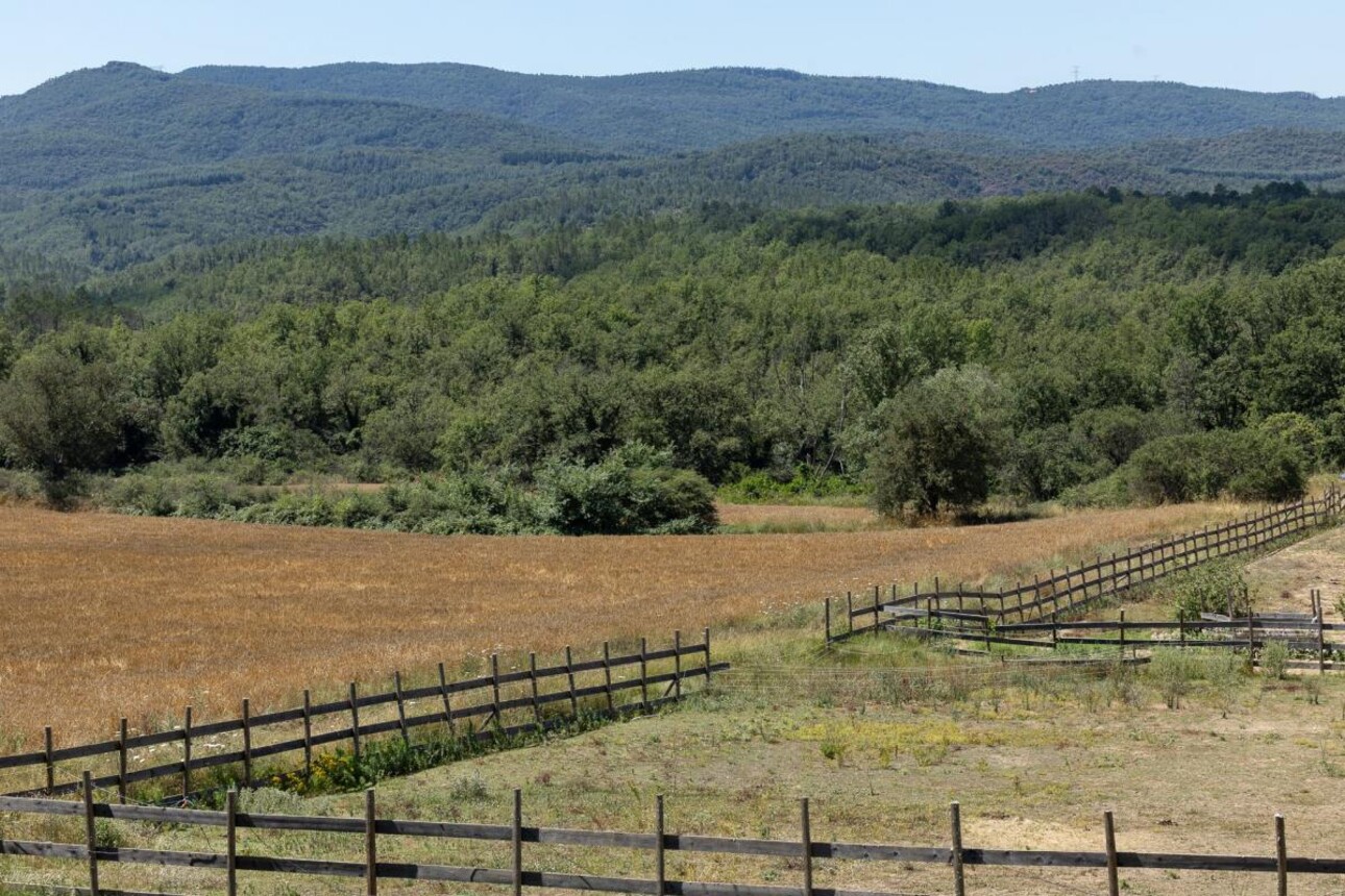 Photos 4 - Touristique - Propriété équestre d'exception à Fayence - 83