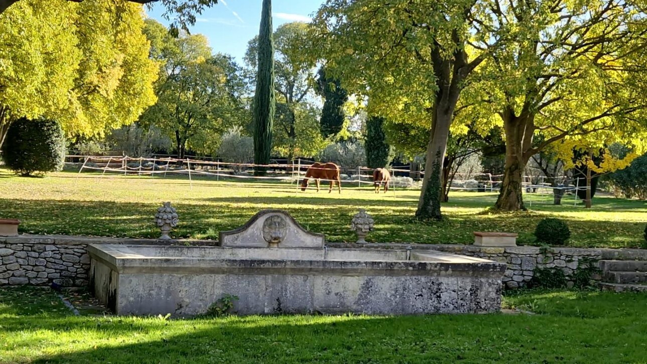 Photos 3 - Equestrian - Maison à vendre Saint-Rémy-de-Provence