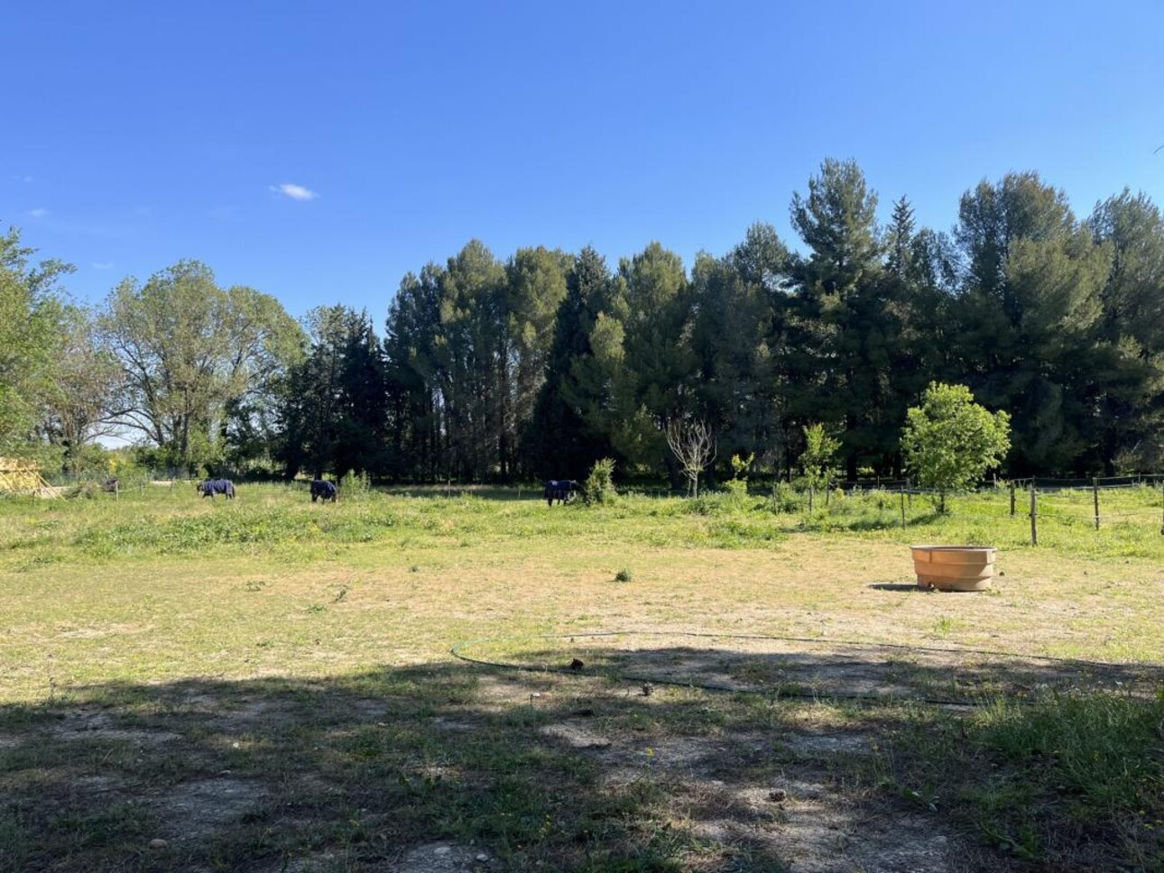 Photos 2 - Equestrian - Propriété équestre sur 5 hectares à POUSSAN (34)