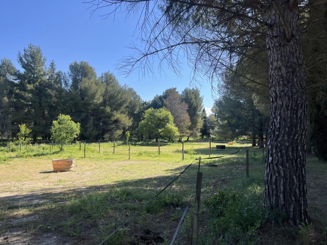 Photos 3 - Équestre - Propriété équestre sur 5 hectares à POUSSAN (34)