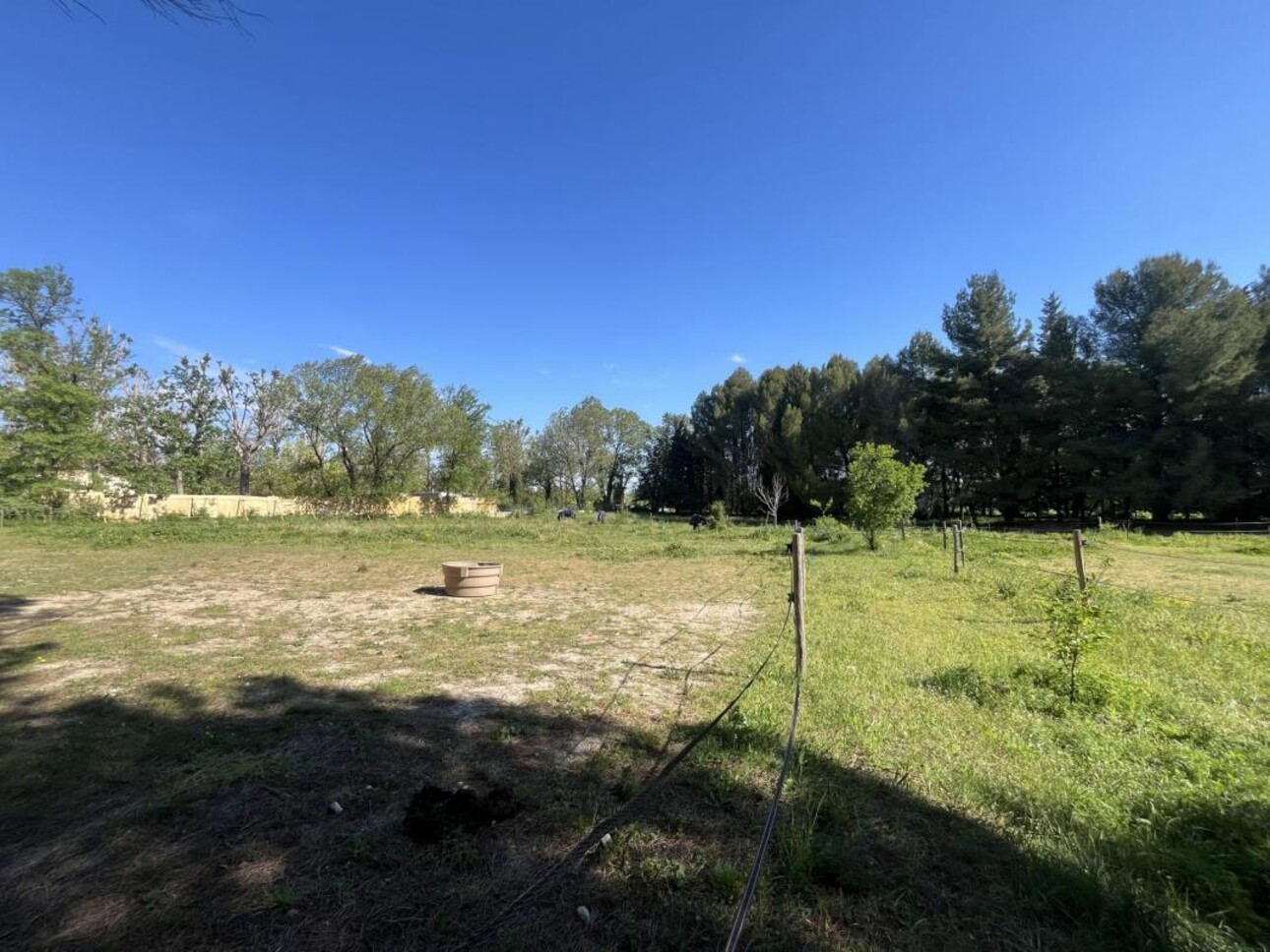 Photos 24 - Équestre - Propriété équestre sur 5 hectares à POUSSAN (34)