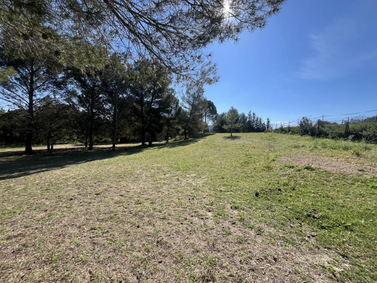 Photos 26 - Équestre - Propriété équestre sur 5 hectares à POUSSAN (34)