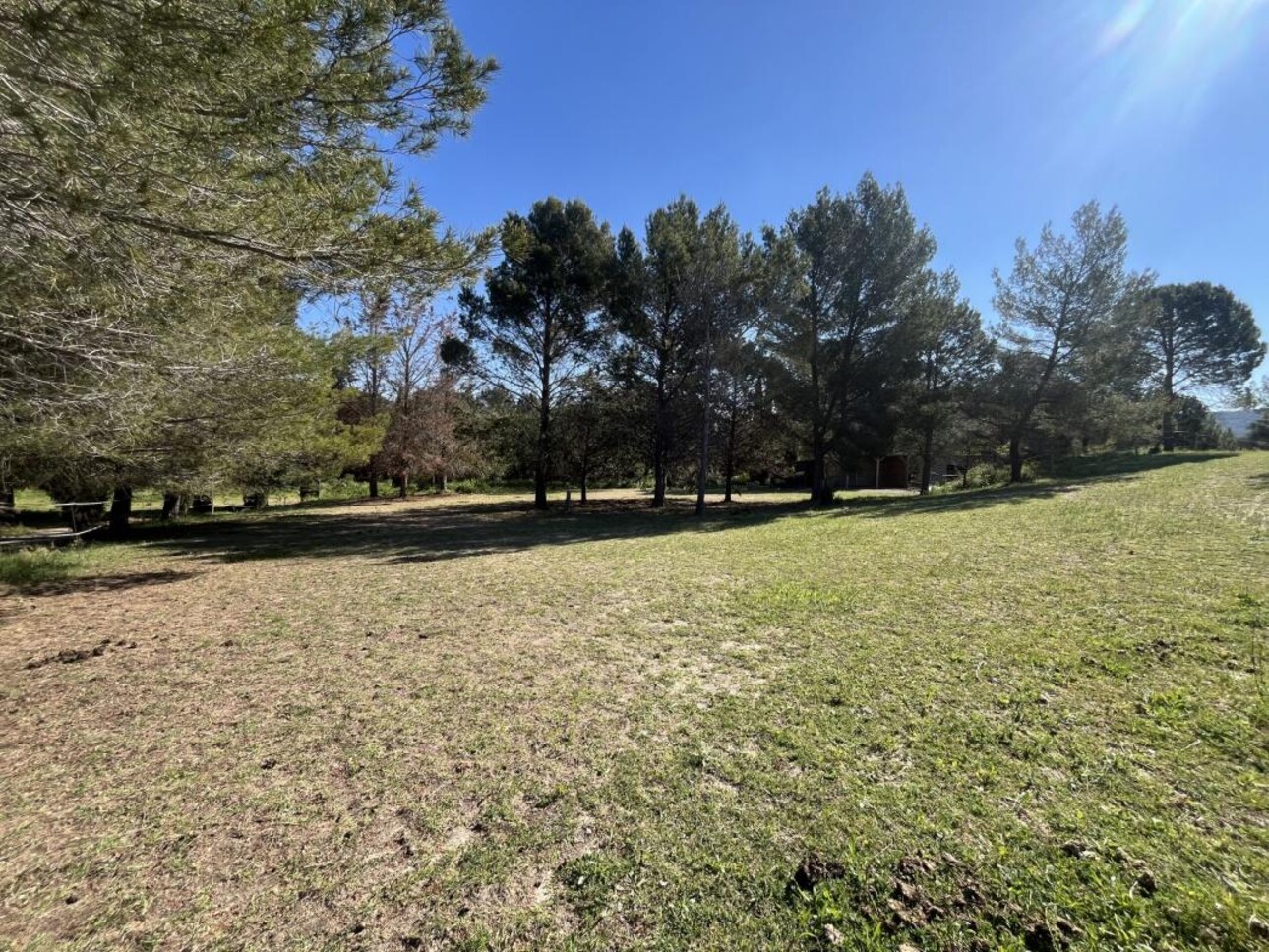 Photos 27 - Equestrian - Propriété équestre sur 5 hectares à POUSSAN (34)