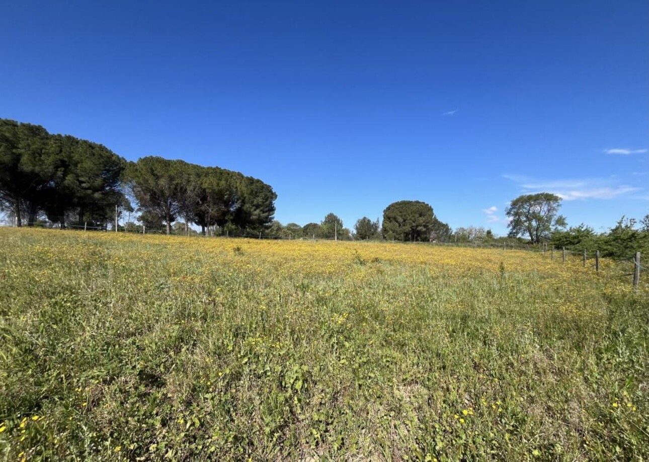 Photos 28 - Equestrian - Propriété équestre sur 5 hectares à POUSSAN (34)