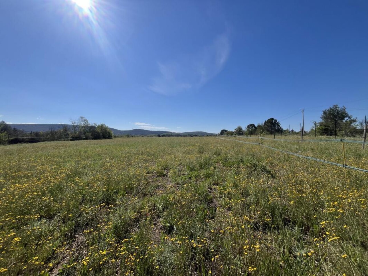 Photos 29 - Équestre - Propriété équestre sur 5 hectares à POUSSAN (34)