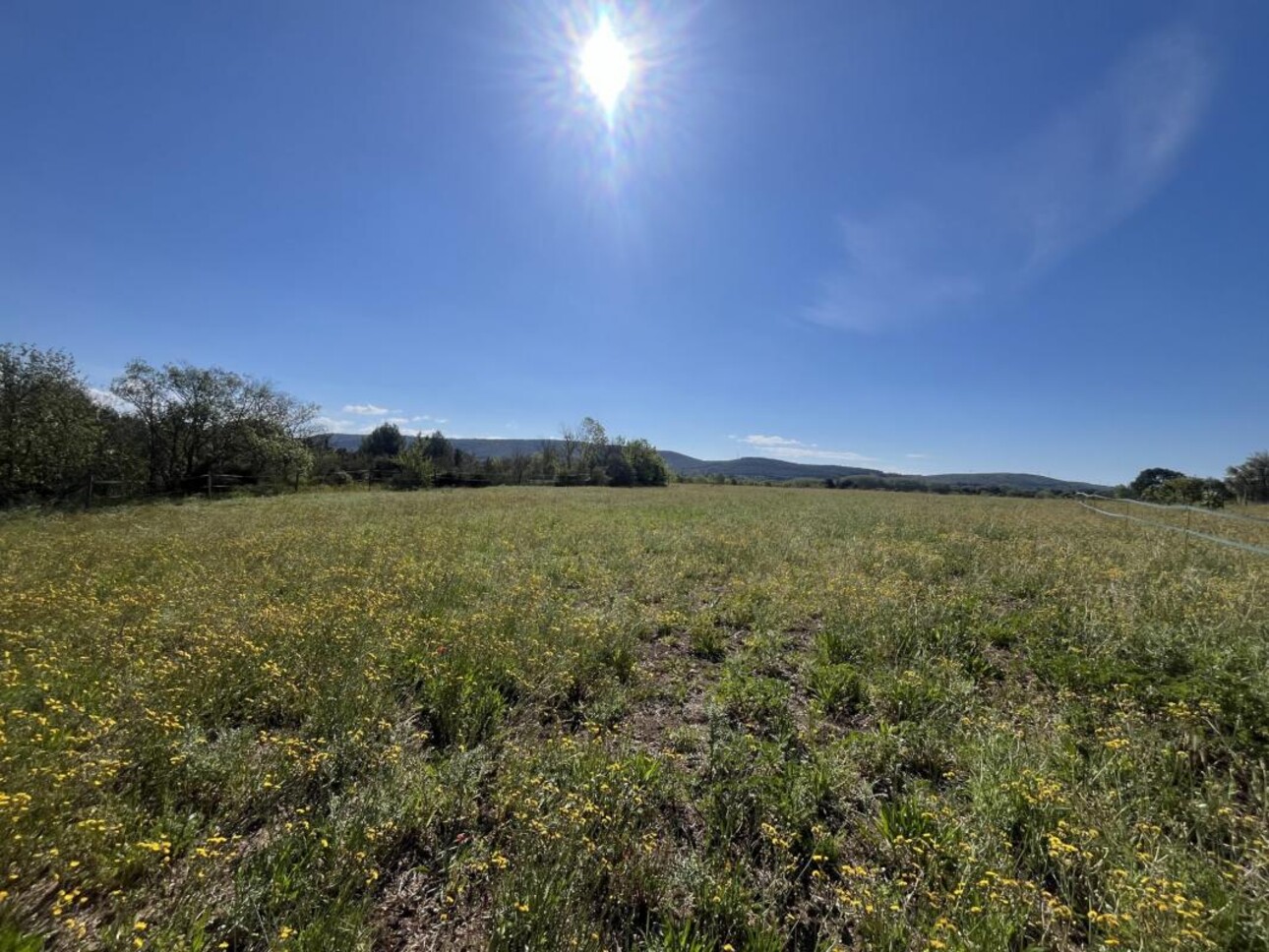 Photos 30 - Équestre - Propriété équestre sur 5 hectares à POUSSAN (34)