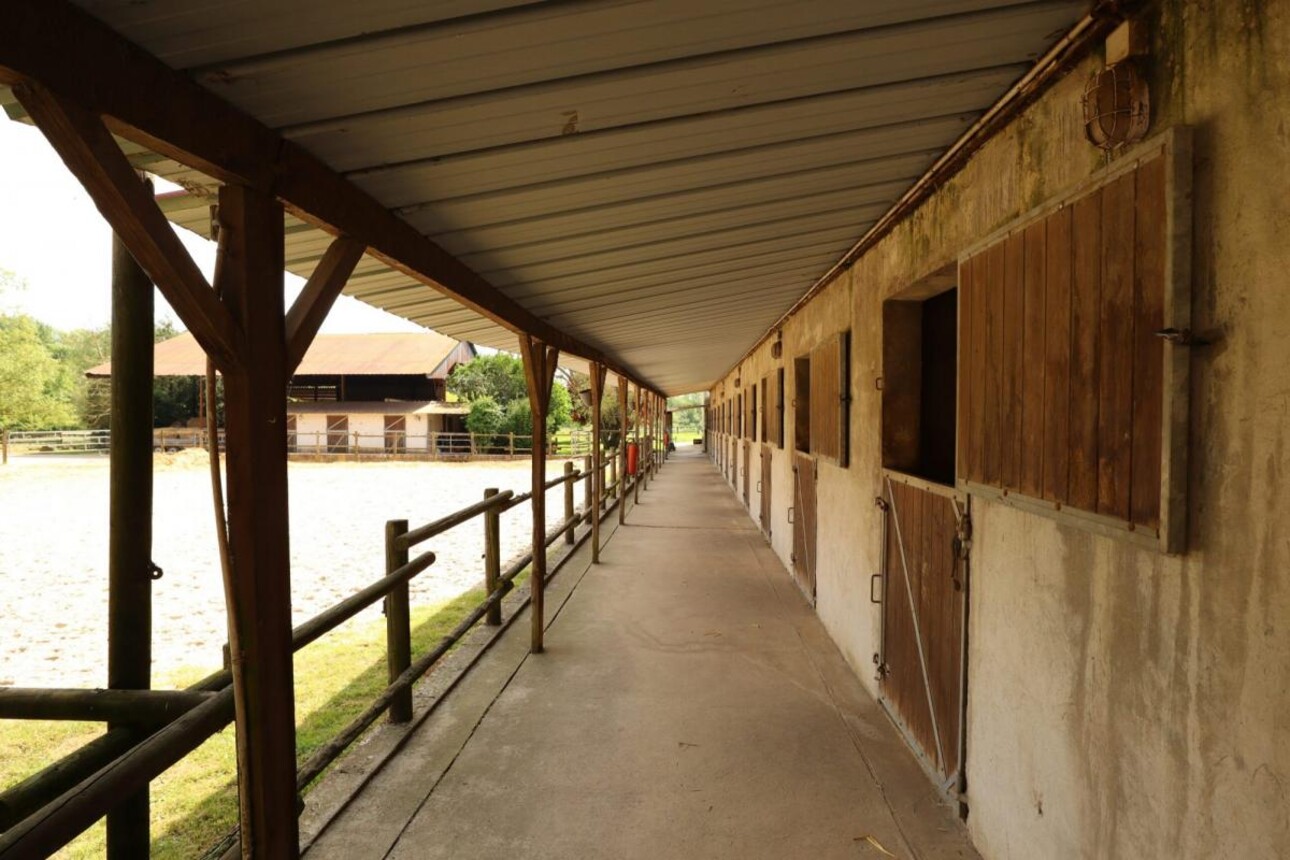 Photos 4 - Equestrian - Ecurie de propriétaires avec logements sur 15 ha