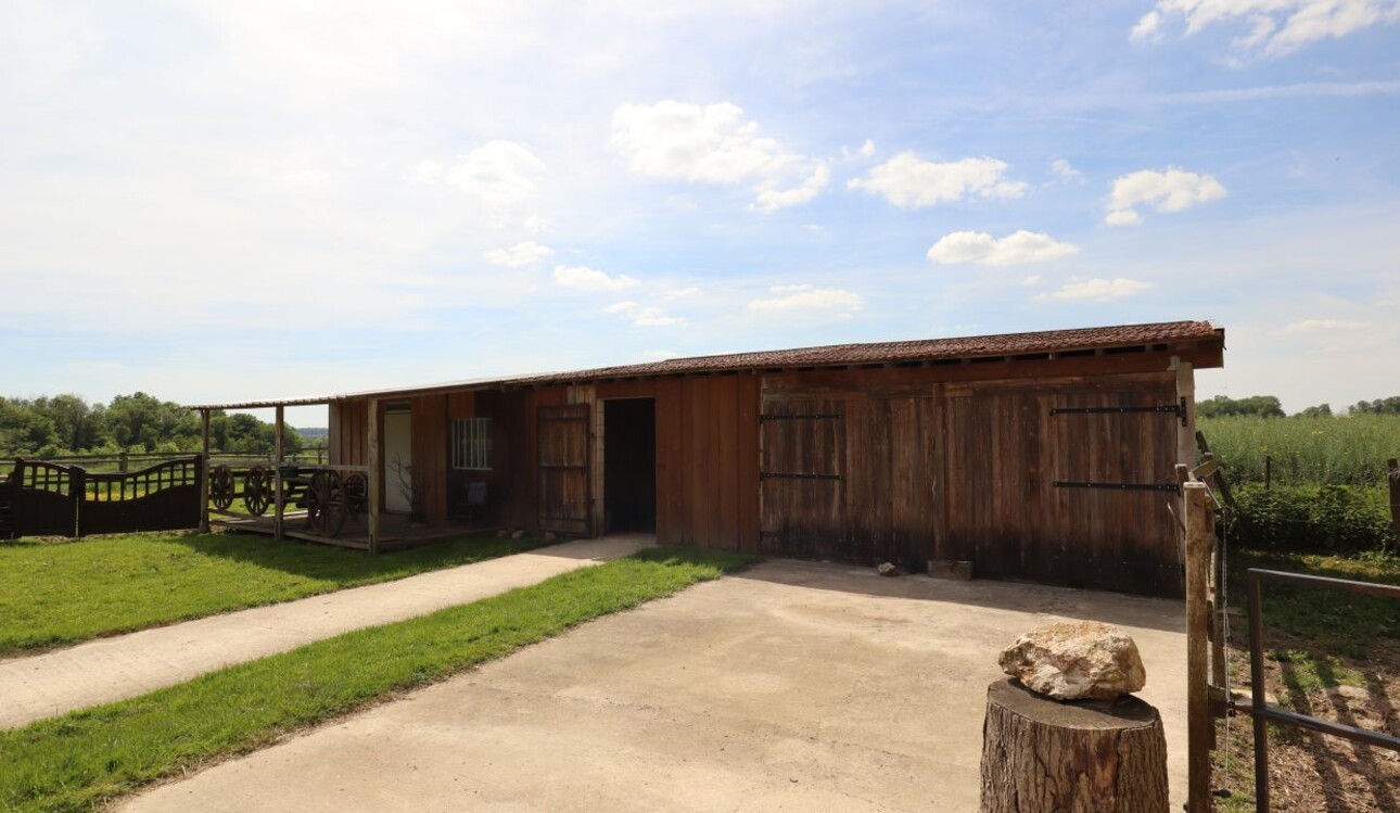 Photos 11 - Equestrian - Ecurie de propriétaires avec logements sur 15 ha