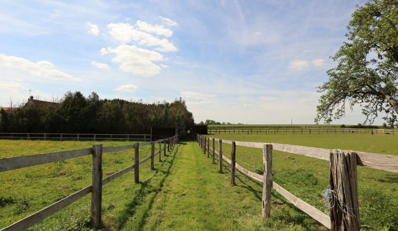 Photos 17 - Equestrian - Ecurie de propriétaires avec logements sur 15 ha