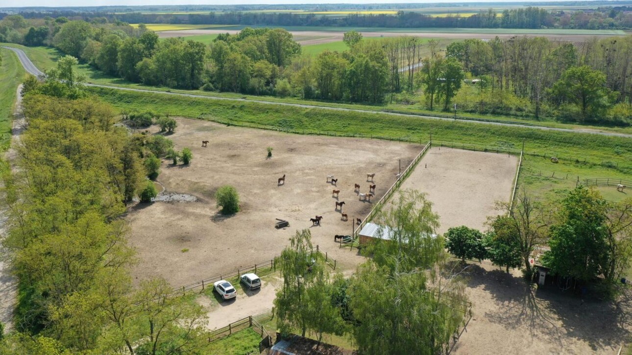 Photos 2 - Équestre - Centre équestre avec emplacement en Or - Secteur Blois