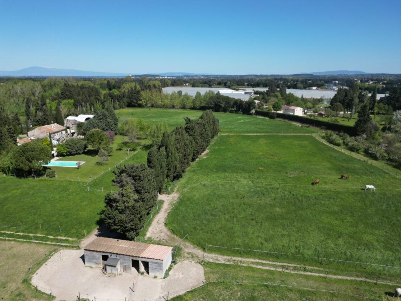 Photos 13 - Equestrian - Magnifique propriété équestre avec mas sur 5 hectares