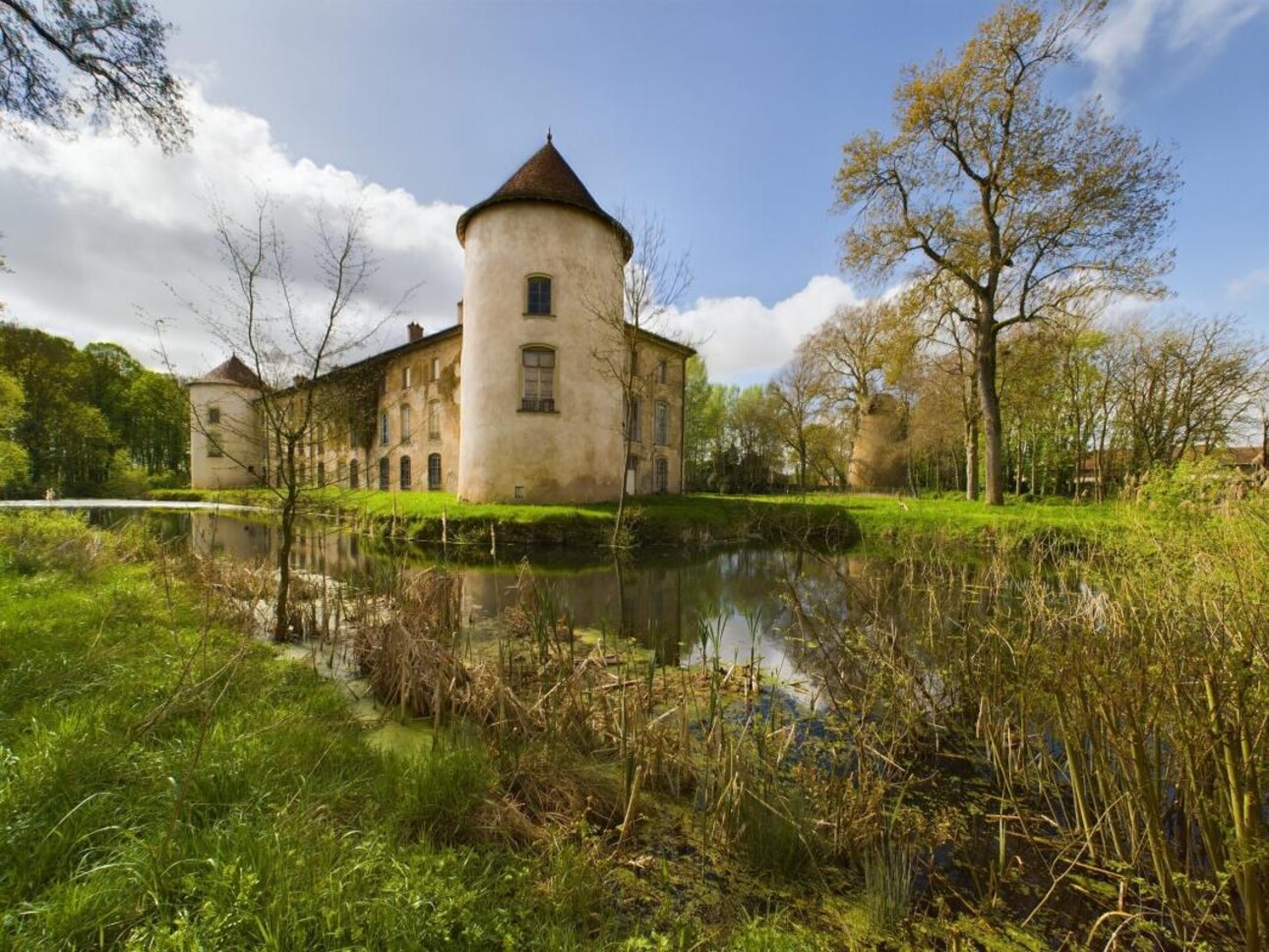 Photos 2 - Prestigious - Joyau architectural à vocation équestres sur 11 ha