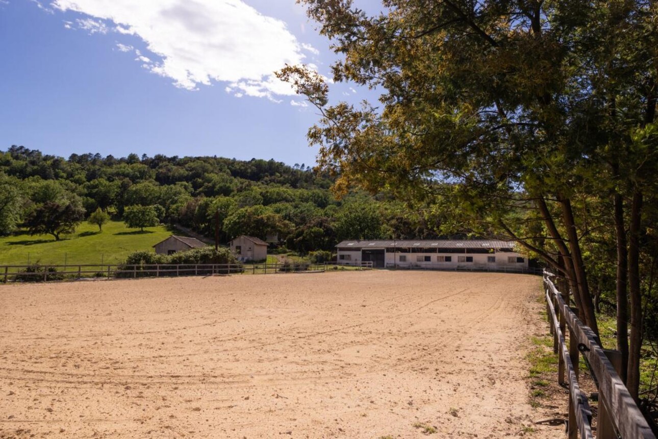 Photos 11 - Equestrian - Propriété équestre d'exception sur 11ha