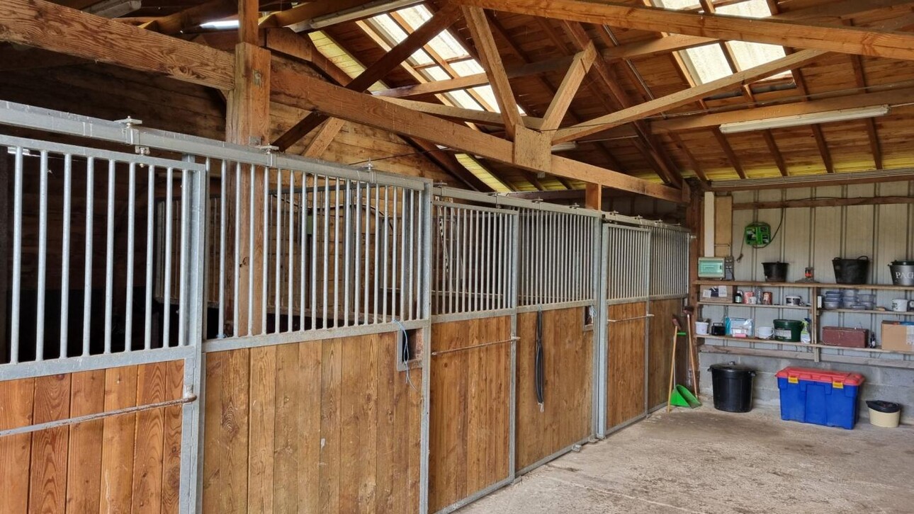 Photos 5 - Equestrian - Maison avec infrastructures équestres sur 2,7 Ha- Proche Vichy