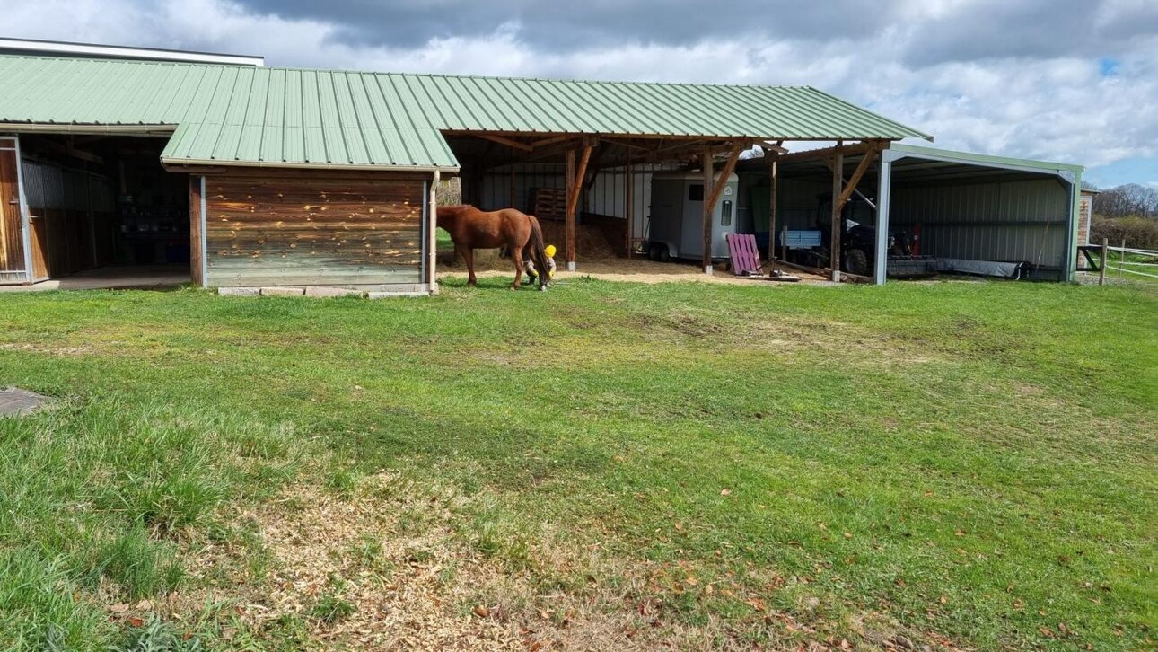 Photos 6 - Equestrian - Maison avec infrastructures équestres sur 2,7 Ha- Proche Vichy